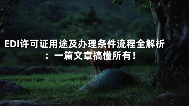EDI许可证用途及办理条件流程全解析：一篇文章搞懂所有！