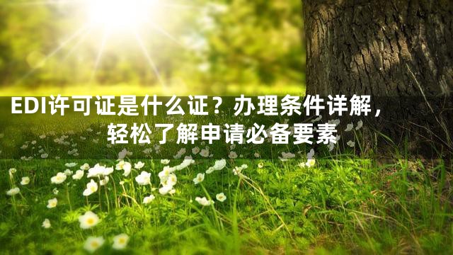 EDI许可证是什么证？办理条件详解，轻松了解申请必备要素
