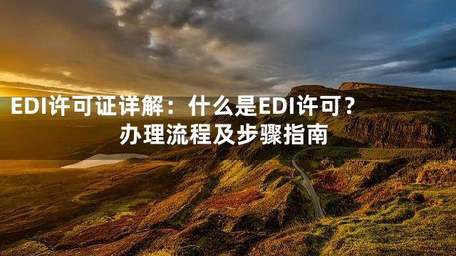 EDI许可证详解：什么是EDI许可？办理流程及步骤指南