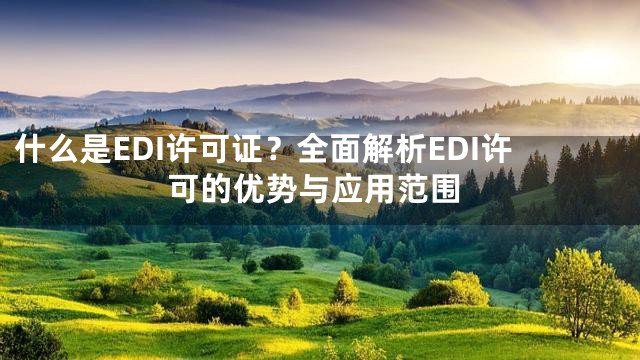什么是EDI许可证？全面解析EDI许可的优势与应用范围