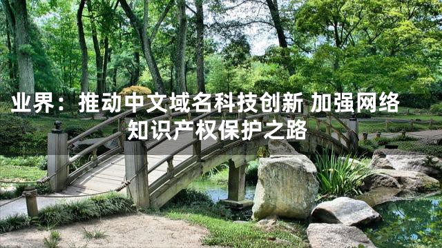 业界：推动中文域名科技创新 加强网络知识产权保护之路
