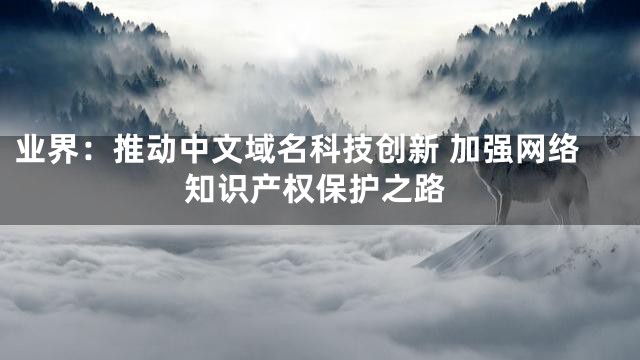 业界：推动中文域名科技创新 加强网络知识产权保护之路