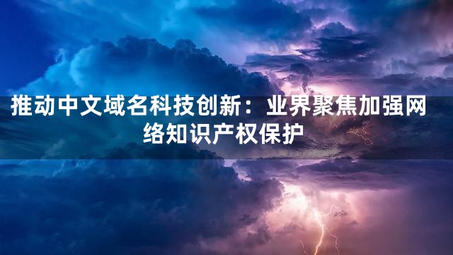 推动中文域名科技创新：业界聚焦加强网络知识产权保护