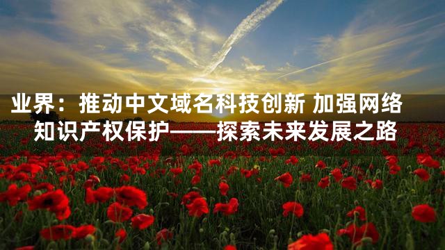 业界：推动中文域名科技创新 加强网络知识产权保护——探索未来发展之路