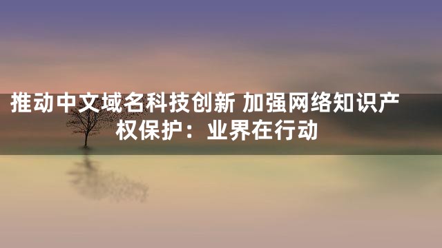 推动中文域名科技创新 加强网络知识产权保护：业界在行动