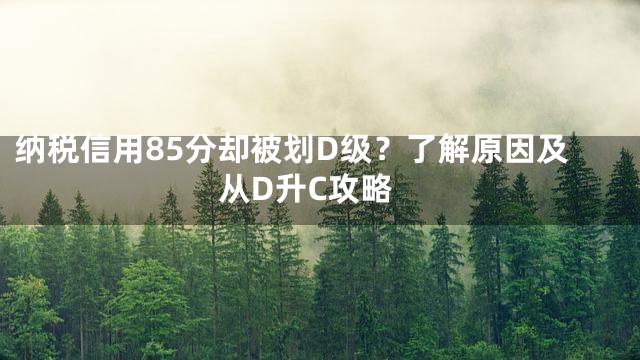 纳税信用85分却被划D级？了解原因及从D升C攻略