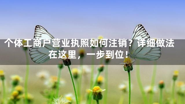 个体工商户营业执照如何注销？详细做法在这里，一步到位！
