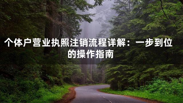 个体户营业执照注销流程详解：一步到位的操作指南