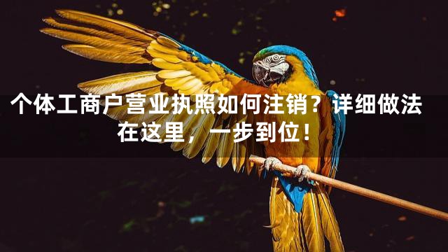 个体工商户营业执照如何注销？详细做法在这里，一步到位！