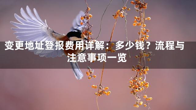 变更地址登报费用详解：多少钱？流程与注意事项一览