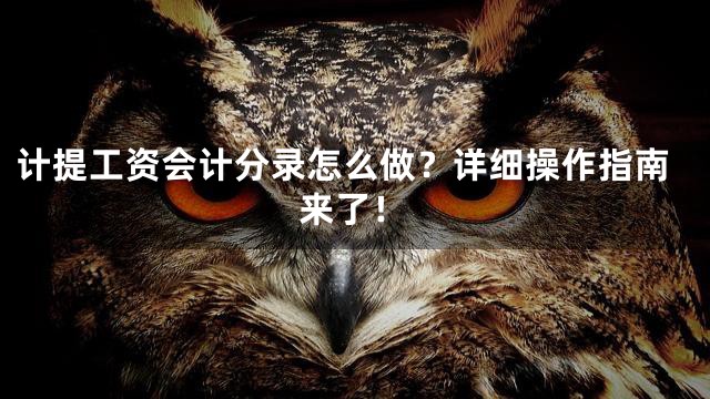 计提工资会计分录怎么做？详细操作指南来了！