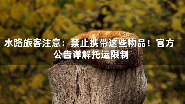 水路旅客注意：禁止携带这些物品！官方公告详解托运限制