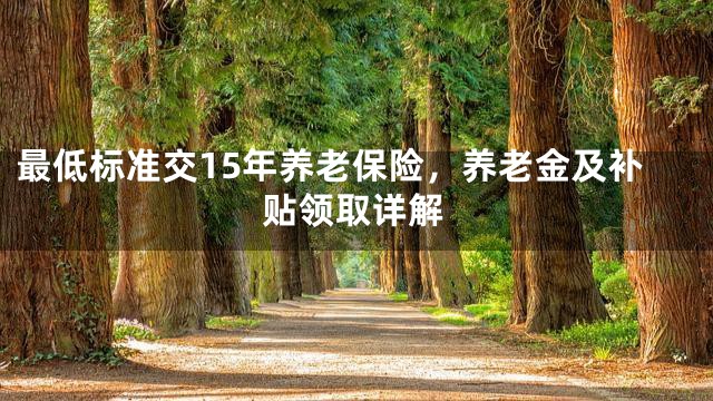 最低标准交15年养老保险，养老金及补贴领取详解