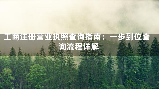 工商注册营业执照查询指南：一步到位查询流程详解