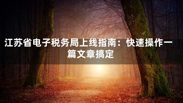 江苏省电子税务局上线指南：快速操作一篇文章搞定