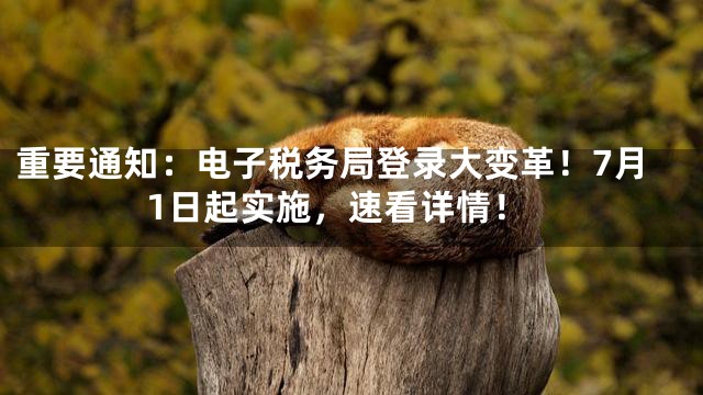 重要通知：电子税务局登录大变革！7月1日起实施，速看详情！