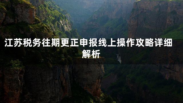 江苏税务往期更正申报线上操作攻略详细解析
