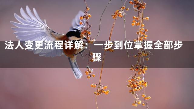 法人变更流程详解：一步到位掌握全部步骤
