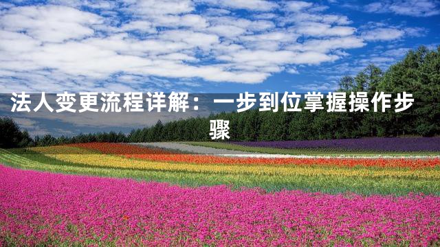 法人变更流程详解：一步到位掌握操作步骤