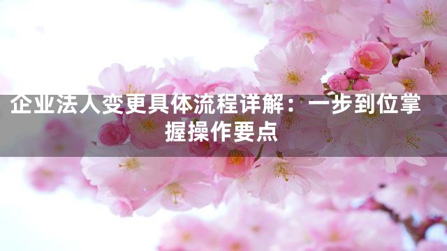 企业法人变更具体流程详解：一步到位掌握操作要点