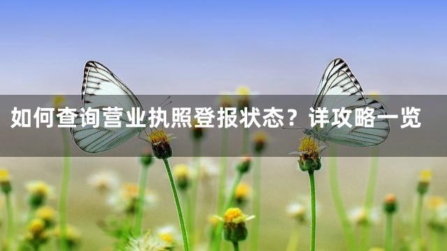 如何查询营业执照登报状态？详攻略一览