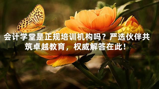 会计学堂是正规培训机构吗？严选伙伴共筑卓越教育，权威解答在此！