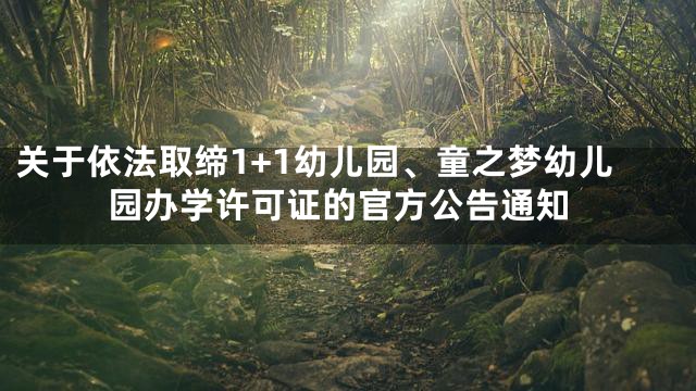 关于依法取缔1+1幼儿园、童之梦幼儿园办学许可证的官方公告通知
