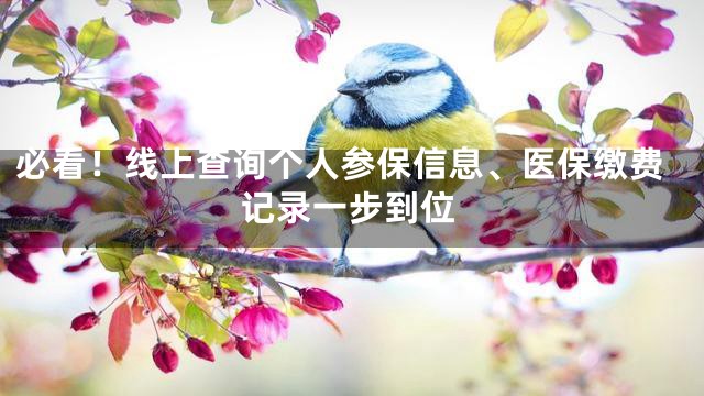 必看！线上查询个人参保信息、医保缴费记录一步到位