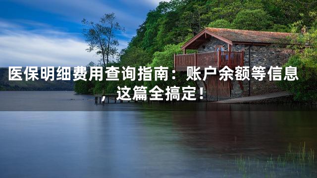 医保明细费用查询指南：账户余额等信息，这篇全搞定！