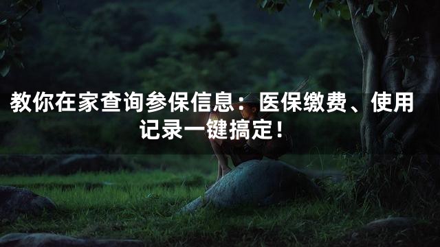 教你在家查询参保信息：医保缴费、使用记录一键搞定！