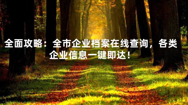 全面攻略：全市企业档案在线查询，各类企业信息一键即达！