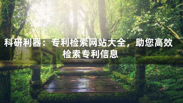 科研利器：专利检索网站大全，助您高效检索专利信息