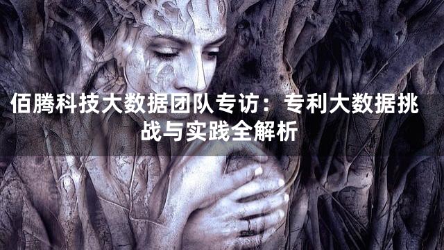 佰腾科技大数据团队专访：专利大数据挑战与实践全解析