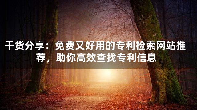 干货分享：免费又好用的专利检索网站推荐，助你高效查找专利信息