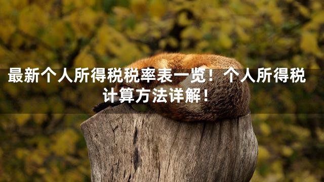 最新个人所得税税率表一览！个人所得税计算方法详解！