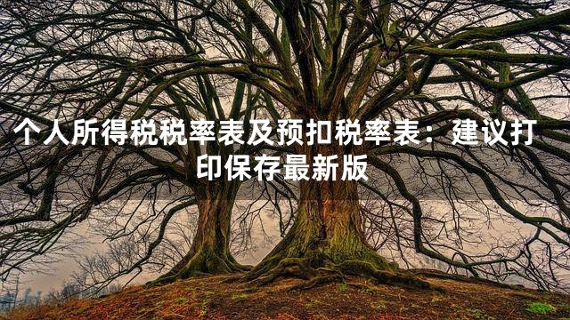 个人所得税税率表及预扣税率表：建议打印保存最新版