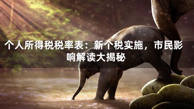 个人所得税税率表：新个税实施，市民影响解读大揭秘