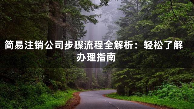 简易注销公司步骤流程全解析：轻松了解办理指南