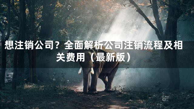 想注销公司？全面解析公司注销流程及相关费用（最新版）