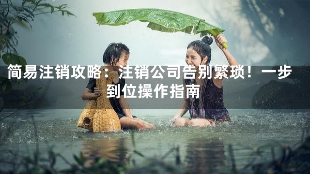 简易注销攻略：注销公司告别繁琐！一步到位操作指南