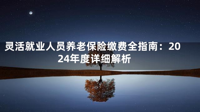 灵活就业人员养老保险缴费全指南：2024年度详细解析