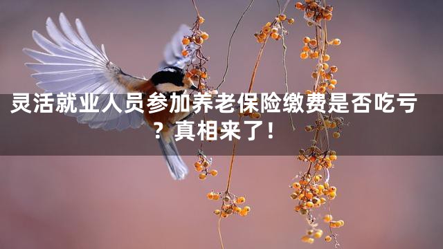 灵活就业人员参加养老保险缴费是否吃亏？真相来了！