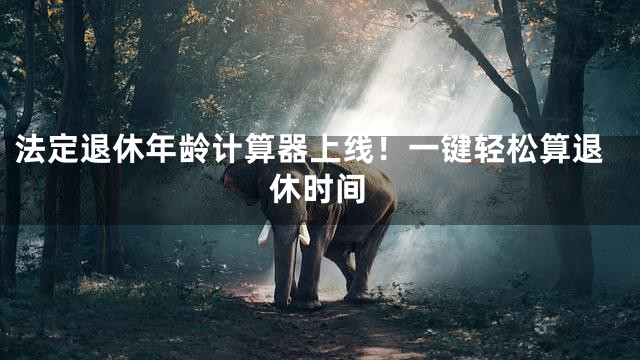 法定退休年龄计算器上线！一键轻松算退休时间