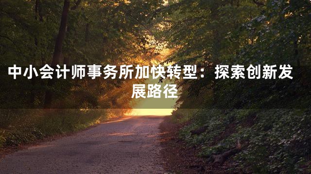 中小会计师事务所加快转型：探索创新发展路径