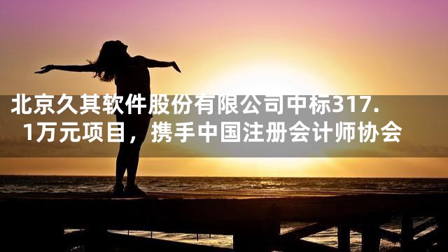 北京久其软件股份有限公司中标317.1万元项目，携手中国注册会计师协会