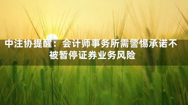 中注协提醒：会计师事务所需警惕承诺不被暂停证券业务风险