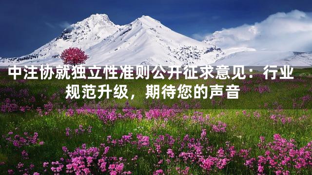 中注协就独立性准则公开征求意见：行业规范升级，期待您的声音