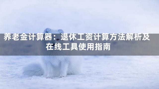 养老金计算器：退休工资计算方法解析及在线工具使用指南