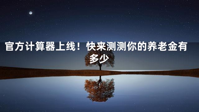 官方计算器上线！快来测测你的养老金有多少