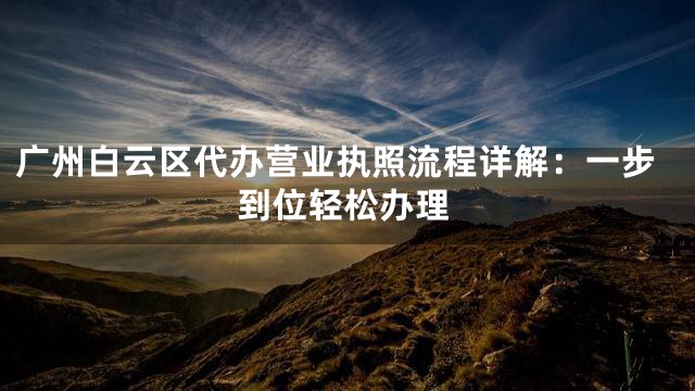 广州白云区代办营业执照流程详解：一步到位轻松办理